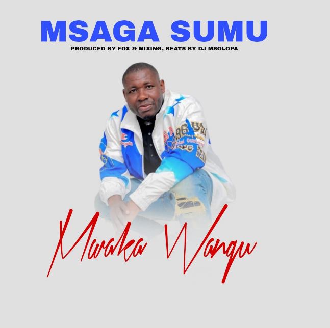 Download Audio | Msaga Sumu – Mwaka Wangu