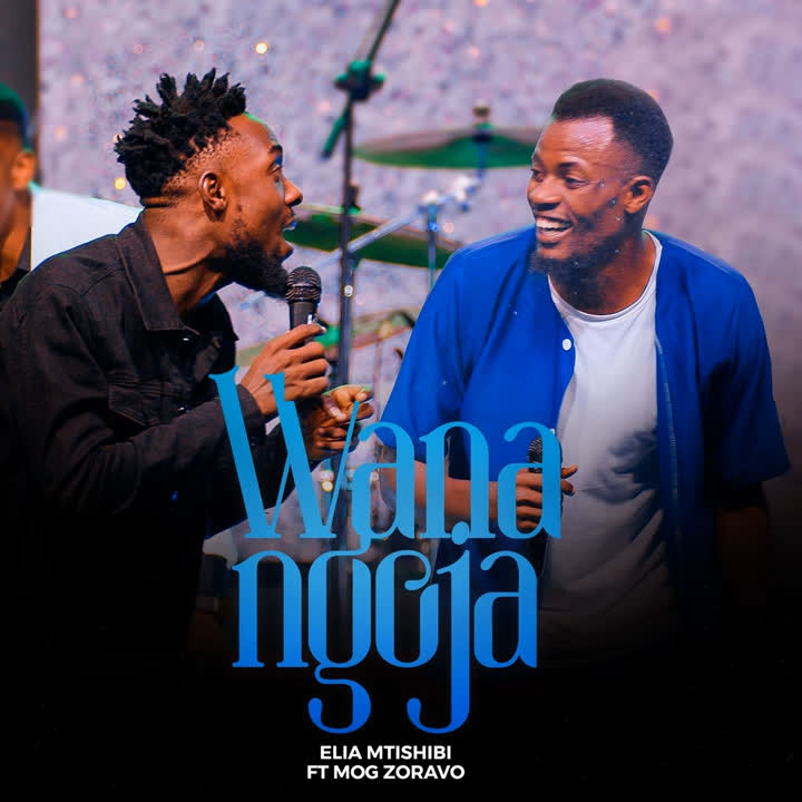 Download Audio | Elia Mtishibi Ft. Zoravo – Wanangoja