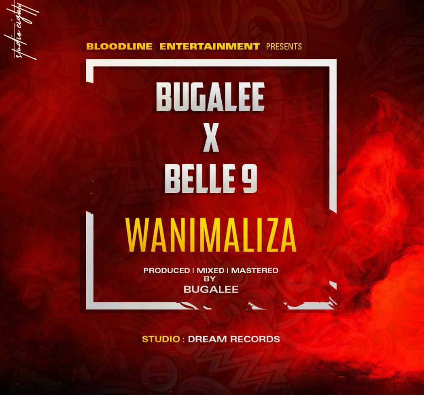 Bugalee ft Belle 9 - Wanimaliza