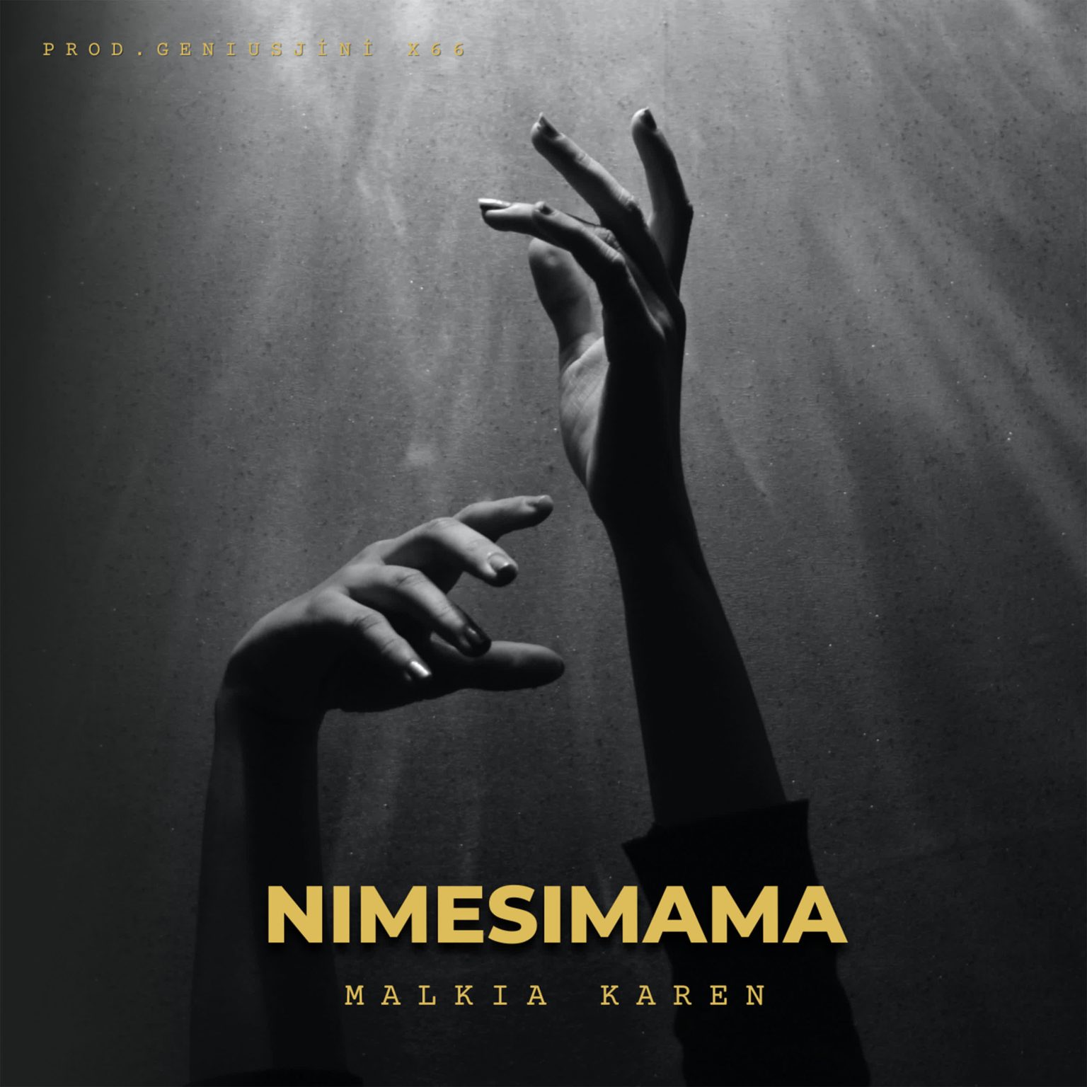 Download Audio | Malkia Karen – Nimesimama