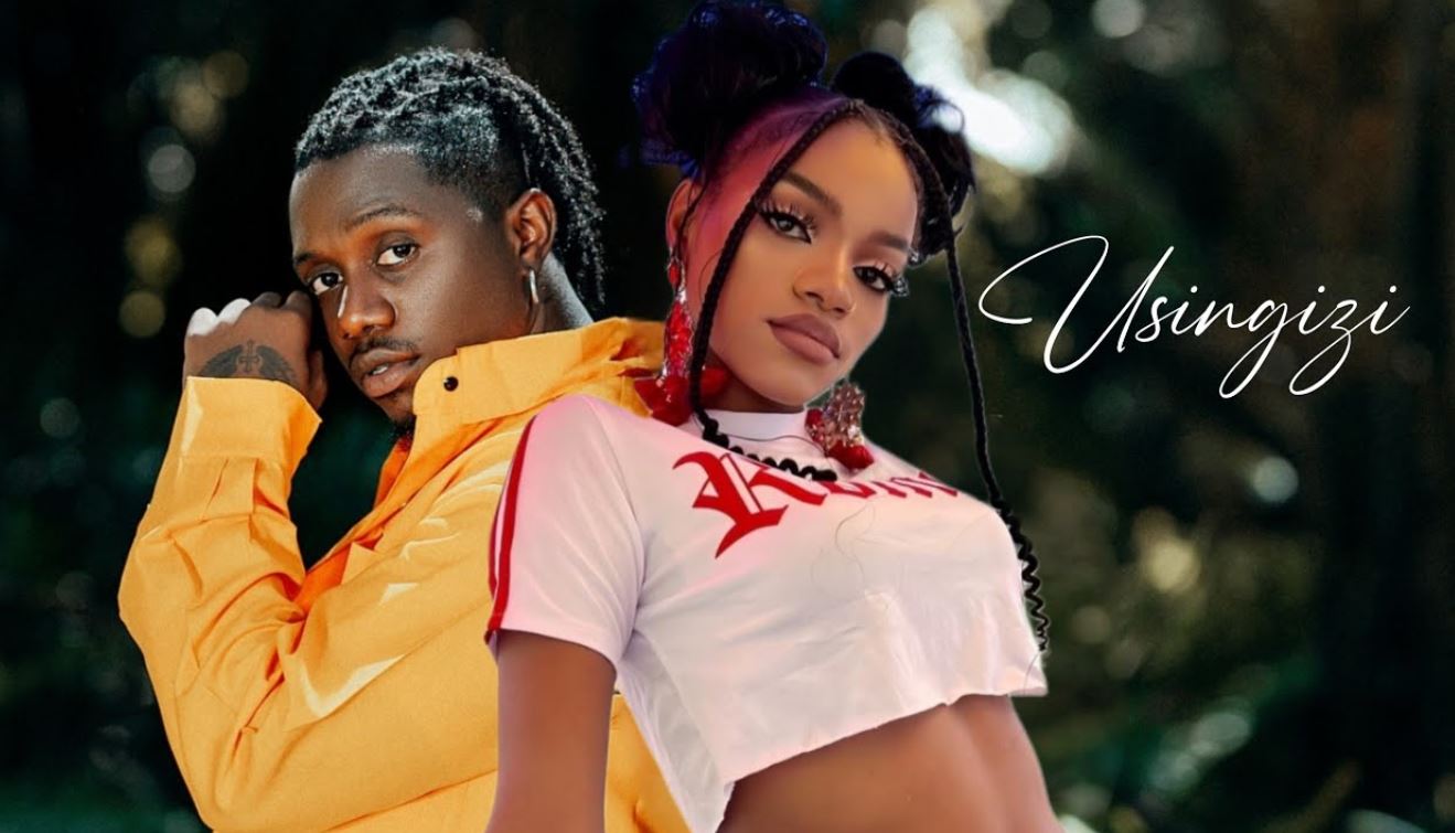 Download Audio | Rayvanny Ft. Yammi – Usingizi