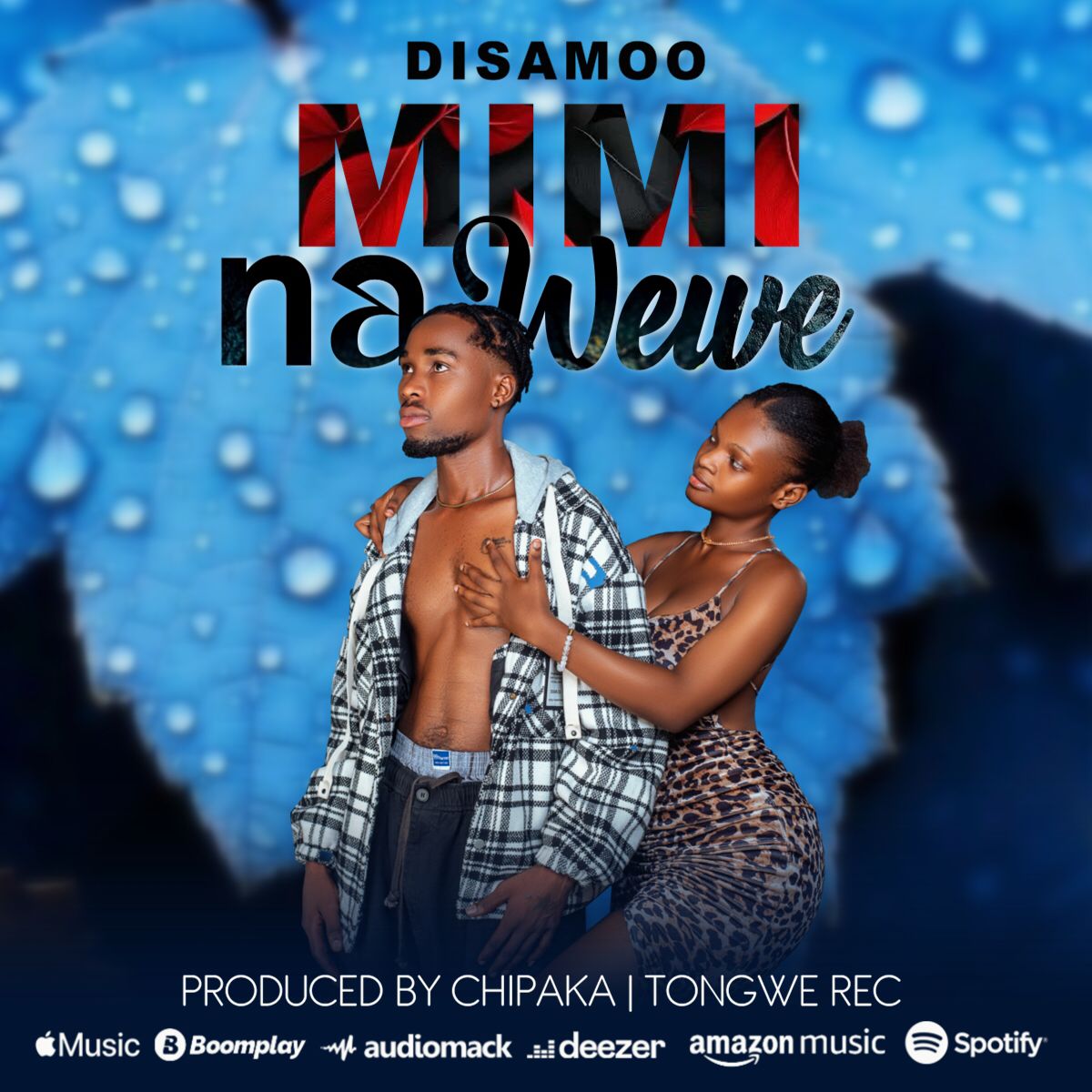 Music Audio : Disamoo – Mimi na Wewe | Download