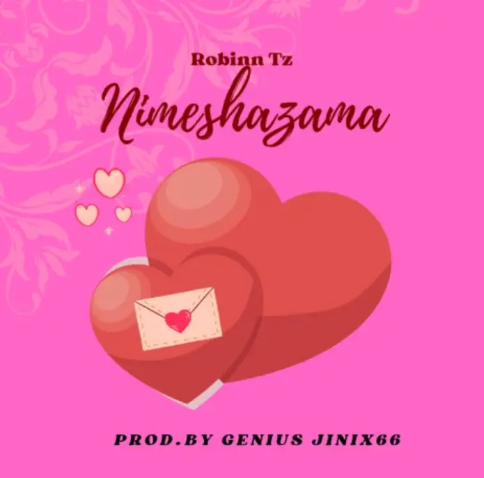 Music Audio : RobinnTz – Nimeshazama | Download