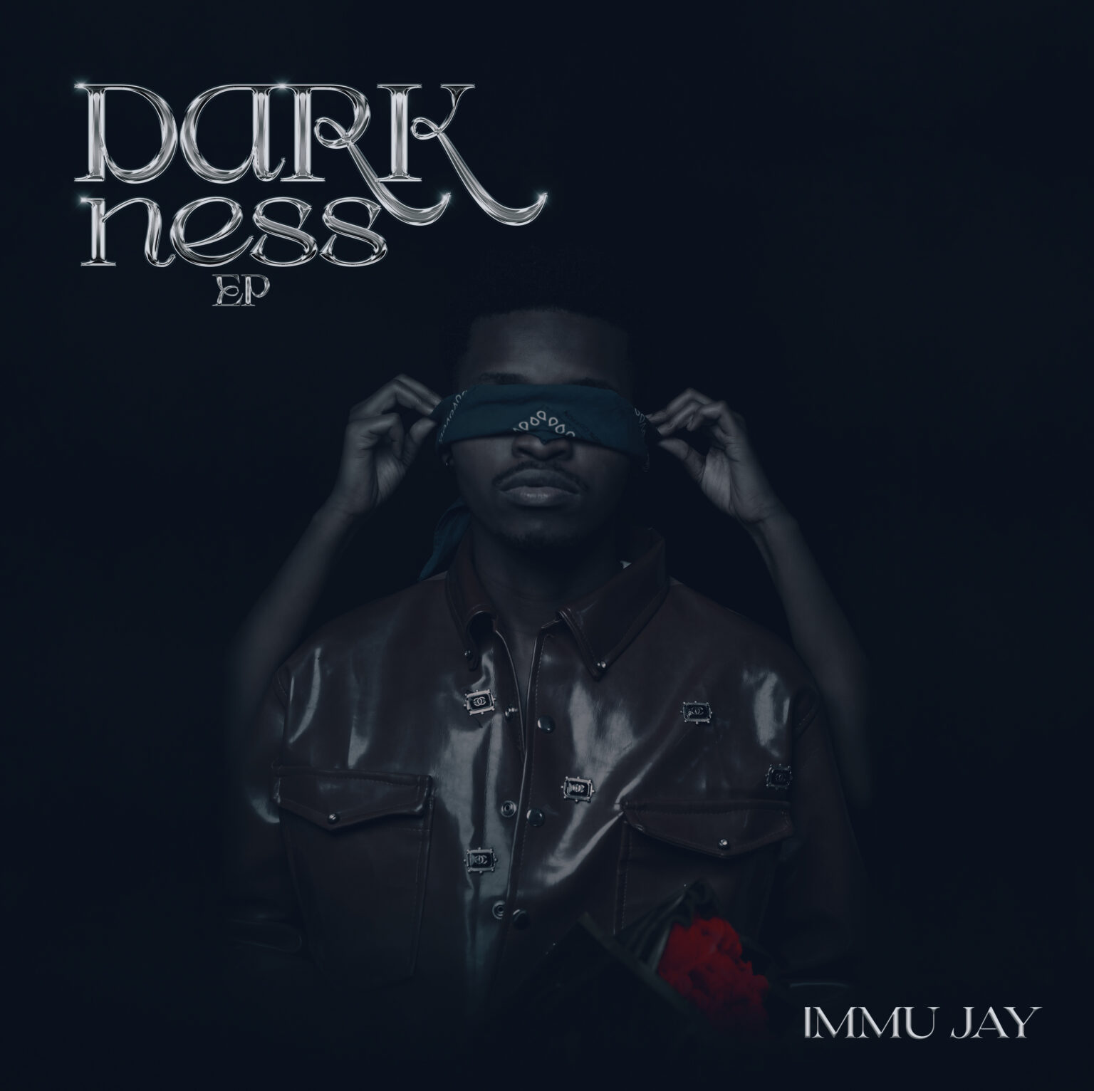 Music Audio : Immu Jay – Hauna Jipya | Download