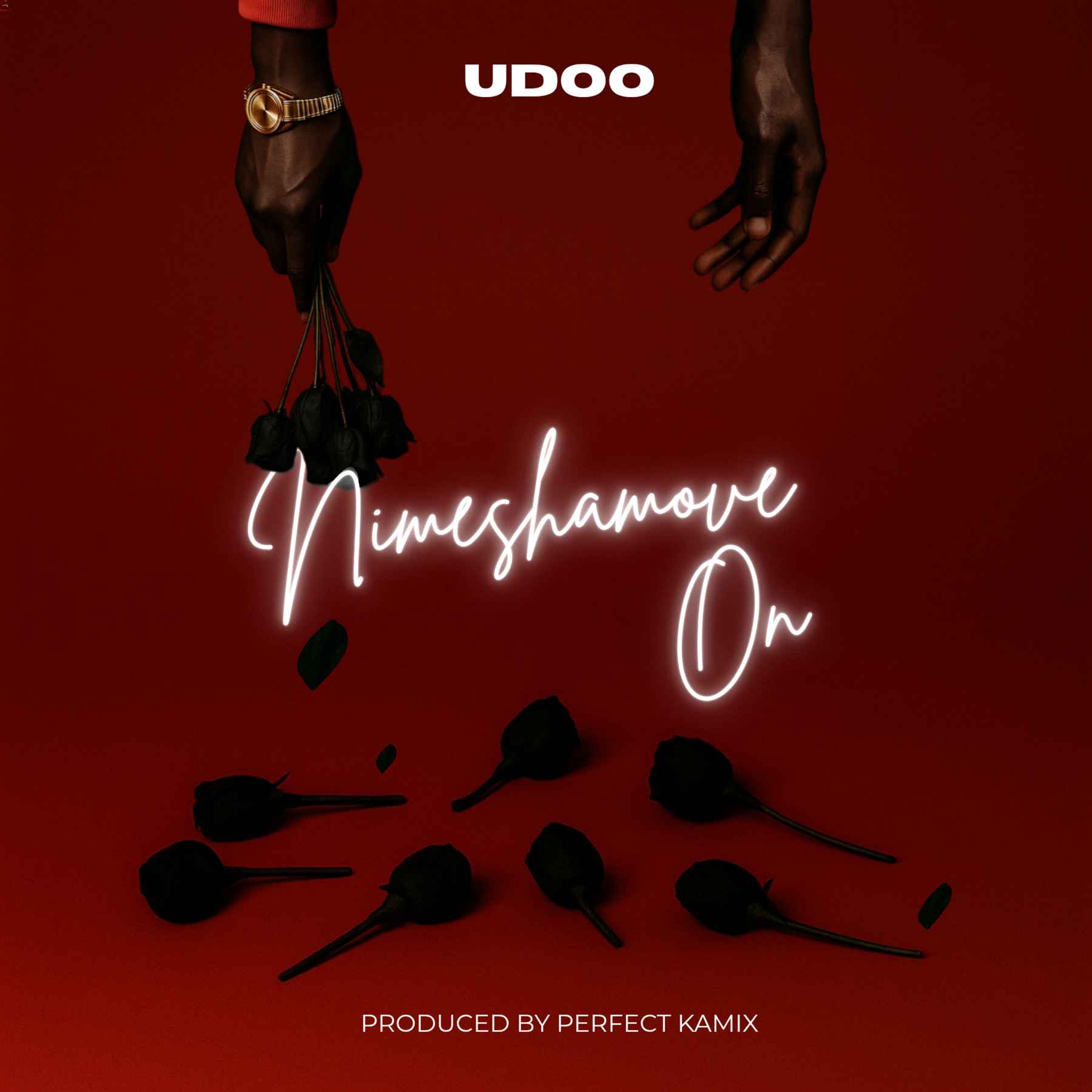 Music Audio : Udoo – Nimeshamove On | Download